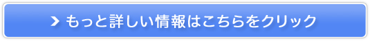 Shop NikoNiko|fB[Xt@bV̔TCg